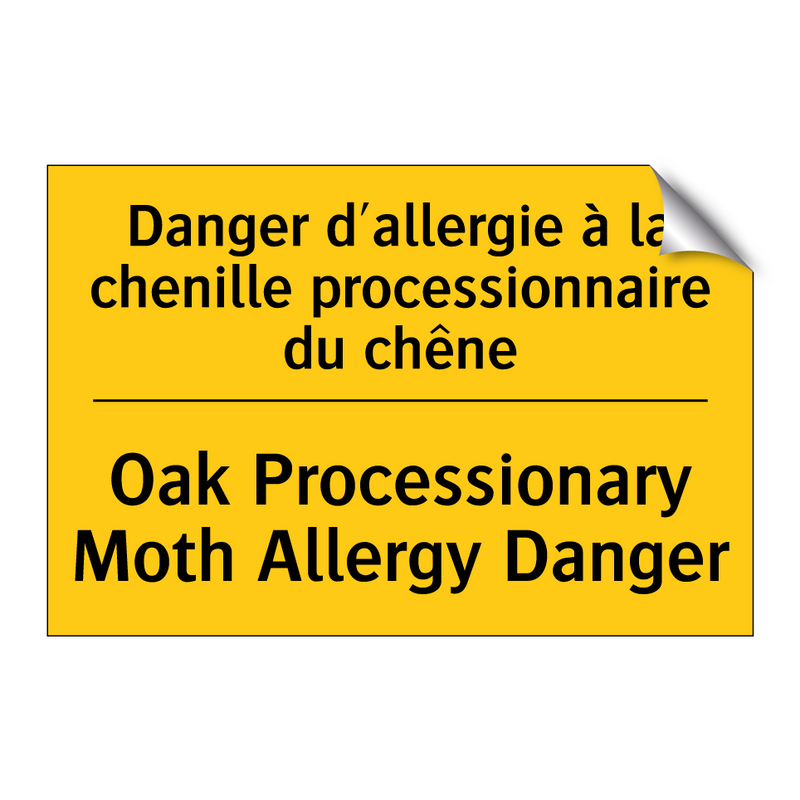 Danger d'allergie à la chenille  /.../ - Oak Processionary Moth Allergy  /.../