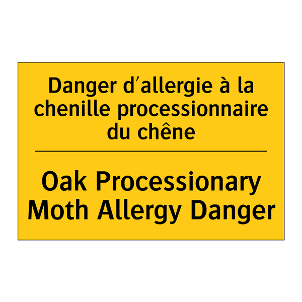 Danger d'allergie à la chenille  /.../ - Oak Processionary Moth Allergy  /.../