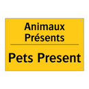 Animaux Présents - Pets Present