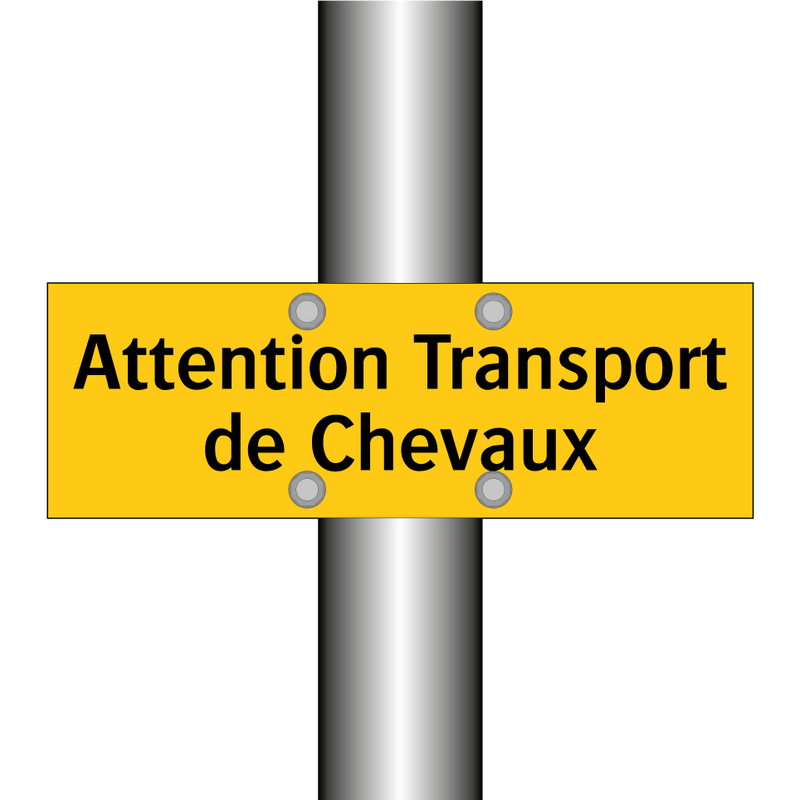 Attention Transport de Chevaux