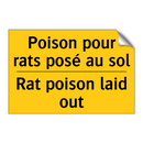 Poison pour rats posé au sol - Rat poison laid out