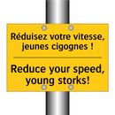 Réduisez votre vitesse, jeunes  /.../ - Reduce your speed, young storks! /.../