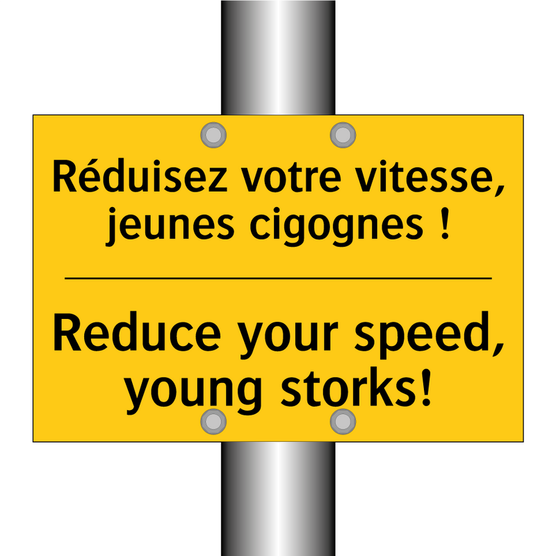 Réduisez votre vitesse, jeunes  /.../ - Reduce your speed, young storks! /.../
