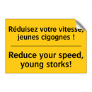 Réduisez votre vitesse, jeunes  /.../ - Reduce your speed, young storks! /.../
