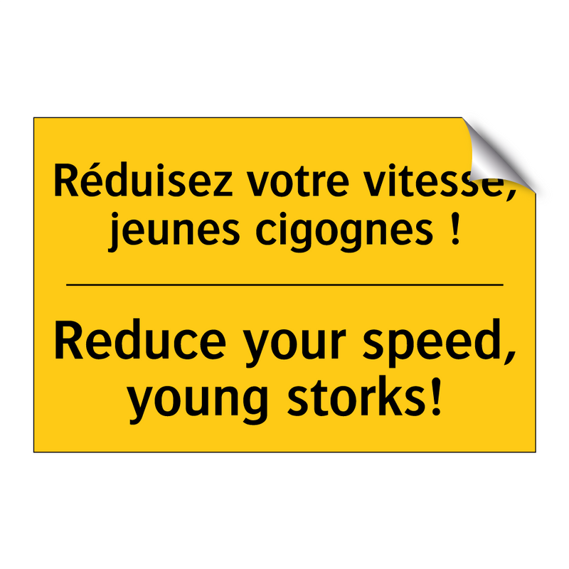 Réduisez votre vitesse, jeunes  /.../ - Reduce your speed, young storks! /.../