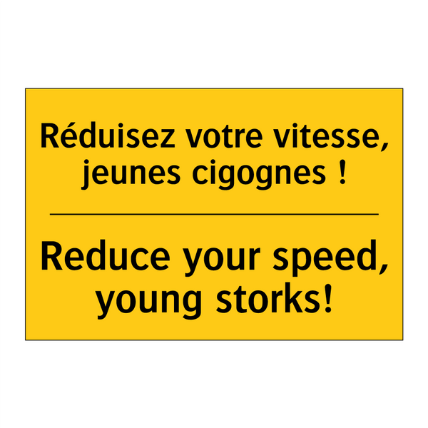 Réduisez votre vitesse, jeunes  /.../ - Reduce your speed, young storks! /.../
