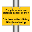 Plongée en eau peu profonde danger  /.../ - Shallow water diving life-threatening /.../