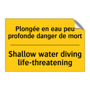 Plongée en eau peu profonde danger  /.../ - Shallow water diving life-threatening /.../