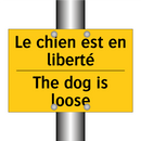 Le chien est en liberté - The dog is loose