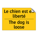 Le chien est en liberté - The dog is loose