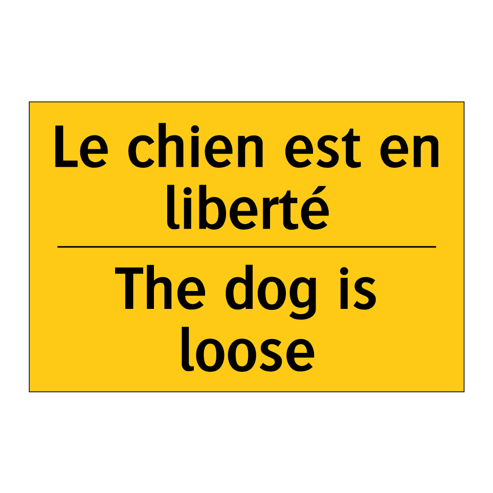 Le chien est en liberté - The dog is loose