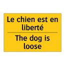 Le chien est en liberté - The dog is loose