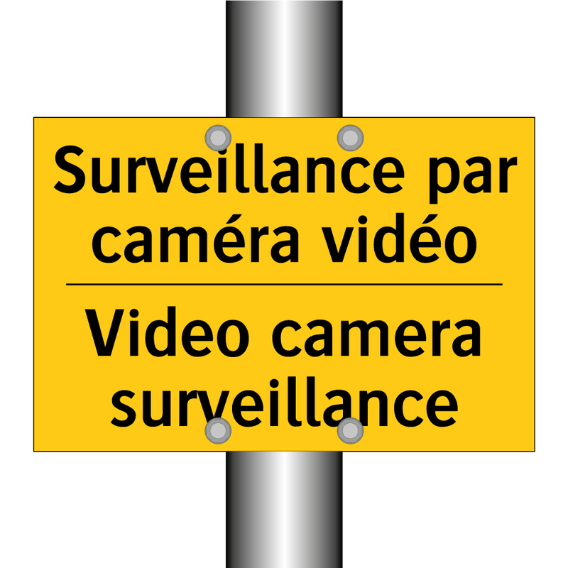 Surveillance par caméra vidéo - Video camera surveillance