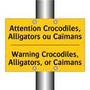 Attention Crocodiles, Alligators  /.../ - Warning Crocodiles, Alligators,  /.../