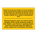 Avertissement Des gaz explosifs  /.../ - Warning Explosive gases are formed  /.../