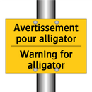 Avertissement pour alligator - Warning for alligator