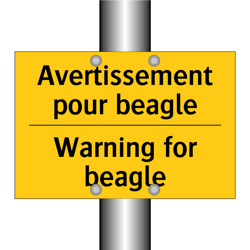 Avertissement pour beagle - Warning for beagle