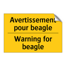 Avertissement pour beagle - Warning for beagle