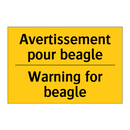 Avertissement pour beagle - Warning for beagle