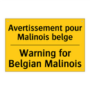 Avertissement pour Malinois belge /.../ - Warning for Belgian Malinois