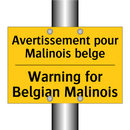 Avertissement pour Malinois belge /.../ - Warning for Belgian Malinois