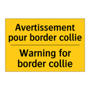 Avertissement pour border collie /.../ - Warning for border collie
