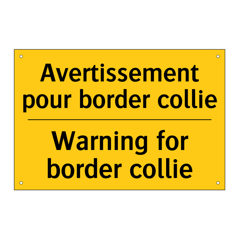 Avertissement pour border collie /.../ - Warning for border collie