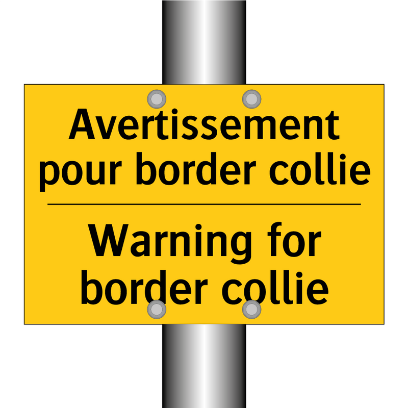 Avertissement pour border collie /.../ - Warning for border collie