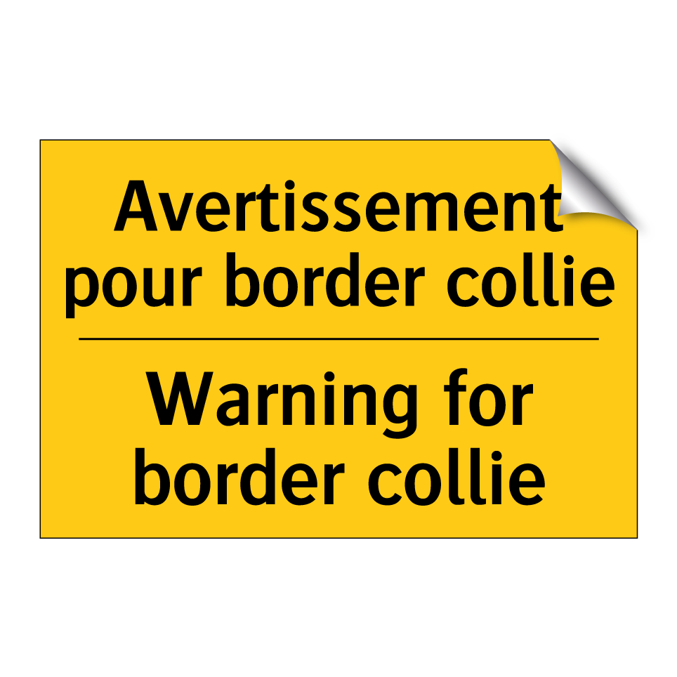 Avertissement pour border collie /.../ - Warning for border collie