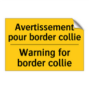 Avertissement pour border collie /.../ - Warning for border collie