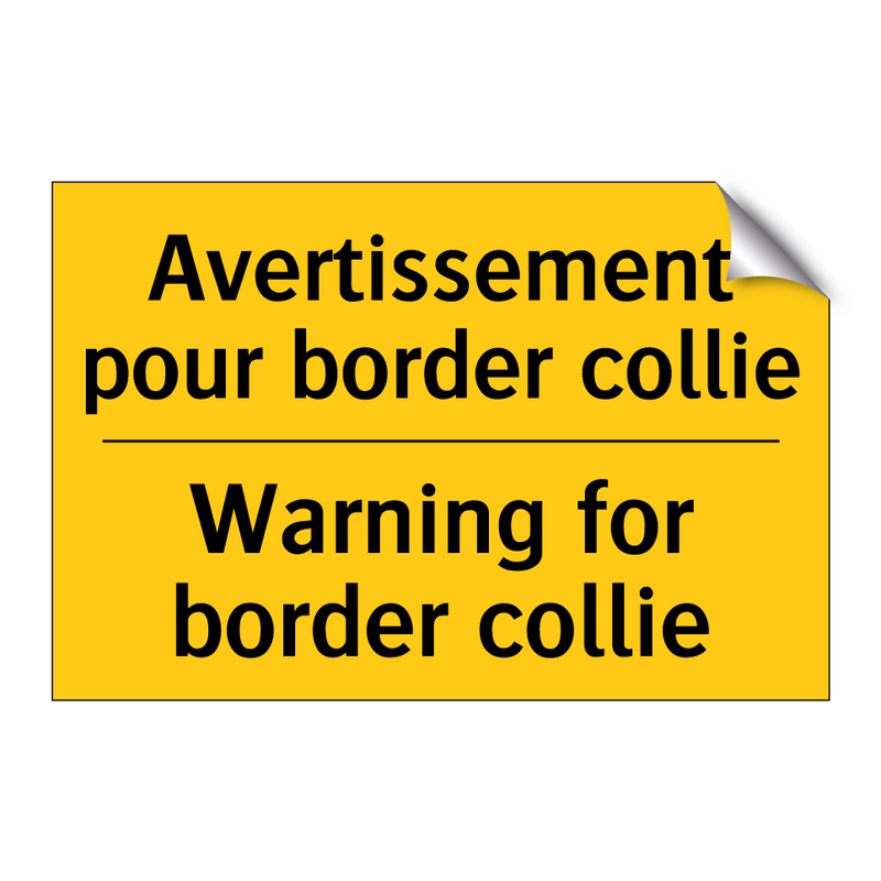Avertissement pour border collie /.../ - Warning for border collie