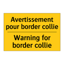 Avertissement pour border collie /.../ - Warning for border collie