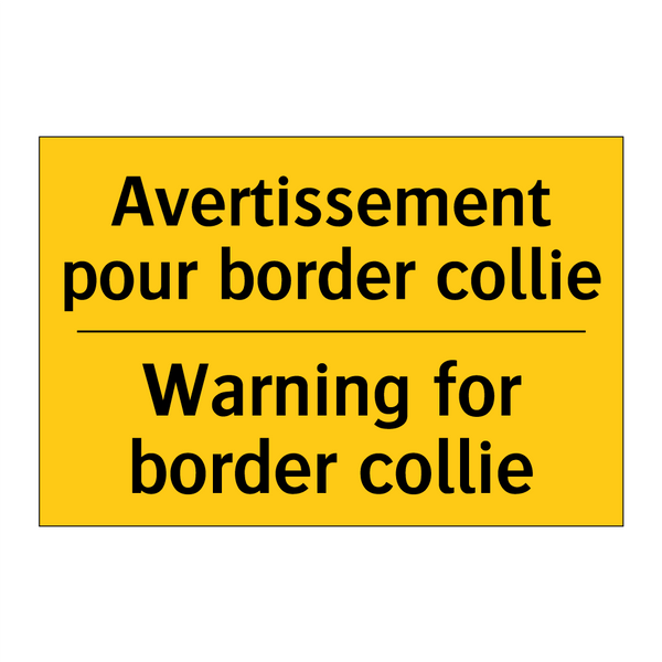 Avertissement pour border collie /.../ - Warning for border collie