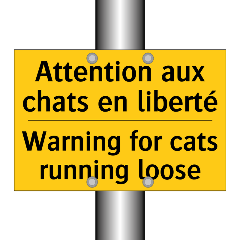 Attention aux chats en liberté - Warning for cats running loose