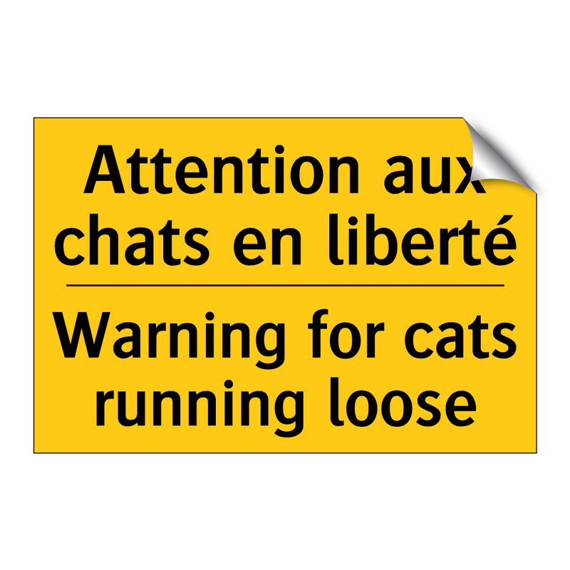 Attention aux chats en liberté - Warning for cats running loose