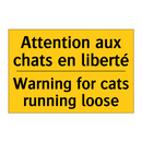 Attention aux chats en liberté - Warning for cats running loose