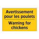 Avertissement pour les poulets - Warning for chickens