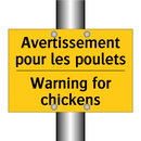 Avertissement pour les poulets - Warning for chickens
