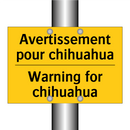 Avertissement pour chihuahua - Warning for chihuahua