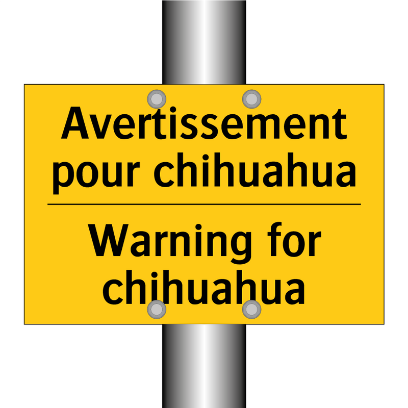 Avertissement pour chihuahua - Warning for chihuahua