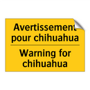 Avertissement pour chihuahua - Warning for chihuahua