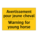 Avertissement pour jeune cheval /.../ - Warning for young horse