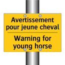 Avertissement pour jeune cheval /.../ - Warning for young horse