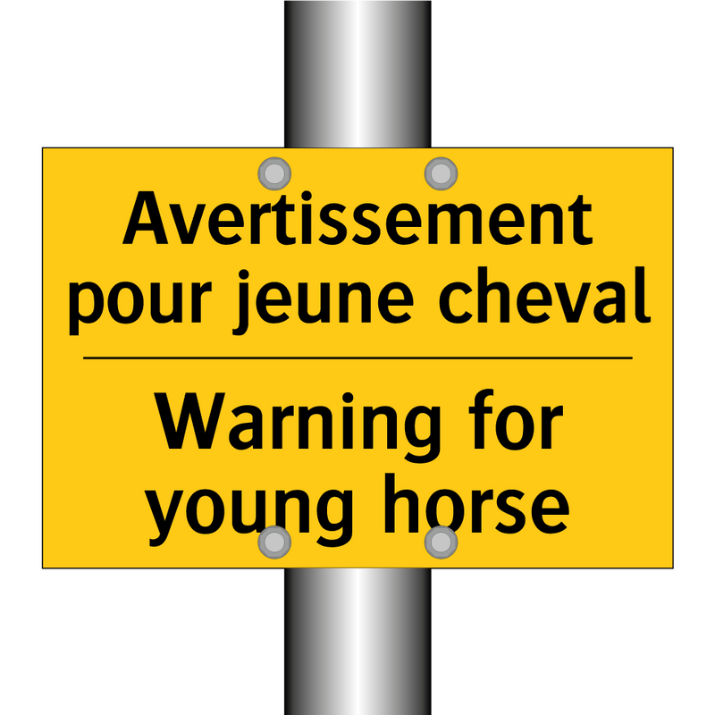 Avertissement pour jeune cheval /.../ - Warning for young horse