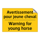 Avertissement pour jeune cheval /.../ - Warning for young horse