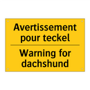 Avertissement pour teckel - Warning for dachshund