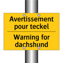 Avertissement pour teckel - Warning for dachshund