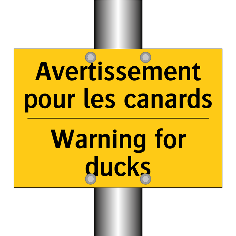 Avertissement pour les canards - Warning for ducks