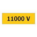 11000 V