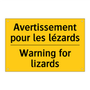 Avertissement pour les lézards - Warning for lizards